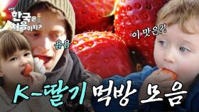 달콤, 향기로운 K-딸기의 맛! 외국인들의 K-딸기 먹방 모음 | #어서와한국은처음이지 | #MBCevery1 | EP.239 외