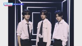 뭐라고?! 쇼챔에 NEW MC들이 온다고?👀 궁금하면 당장 본!방!사!수![예고]