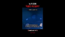 누가 진짜 억울한 귀신일까? #심야괴담회