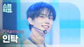 [쇼챔직캠 4K] P1Harmony INTAK(피원하모니 인탁) - DUH! | Show Champion | EP.554 | 250514
