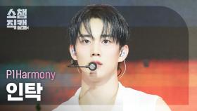 [쇼챔직캠 4K] P1Harmony INTAK(피원하모니 인탁) - Pretty Boy | Show Champion | EP.554 | 250514