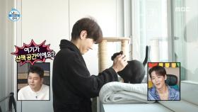 카이의 영원한 파트너 반려묘 테너🐈‍⬛ 아침에는 신문 읽기, MBC 250516 방송