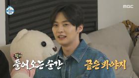 려운X리노 사육시키는 이장우🍜 후식은 탄수화물!, MBC 250516 방송