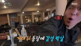 덱스의 야무진 메뉴 주문 그런데...🐀 거대 생쥐를 보고 깜짝 놀란 덱스, MBC 250518 방송