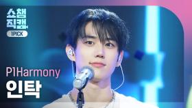 [쇼챔원픽캠 4K] P1Harmony INTAK(피원하모니 인탁) - Murmur | Show Champion | EP.555 | 250521