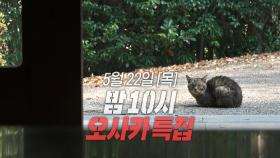 숲속의 요새 같은 느낌🏯 규모가 엄청난 이번 매물😮, MBC 250522 방송