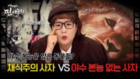 [미스터리 찐이슈지] 채식주의 사자 VS 야수 본능 없는 사자 | MBC201213방송