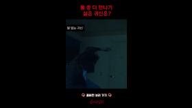 둘 중 더 만나기 싫은 귀신은? #심야괴담회