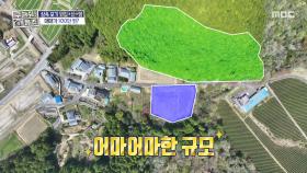 파격적인 가격에 침 꿀꺽😮 논도 주고 산도 주는데, 매매가 100만 원?!, MBC 250529 방송