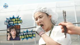 박나래가 직접 조립해 만드는 화덕 피자🍕 지리산에서 자란 아스파라거스!, MBC 250606 방송