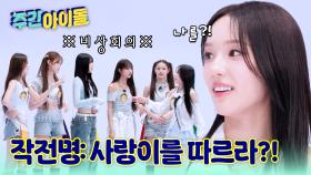 엉망진창 이즈나의 스껄댄?! 작전은 사랑이를 따르라!!
