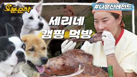 [오분순삭] 제일 큰 건 엄마 거~😋 강아지는 한 입 주고 엄마는 다섯 입 먹는 박세리의 캠핑 먹방🏕️ㅣ나혼자산다 ⏱오분순삭 MBC220520방송