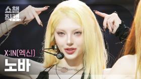[쇼챔직캠 4K] X:IN NOVA(엑신 노바) - SABAHA | Show Champion | EP.559