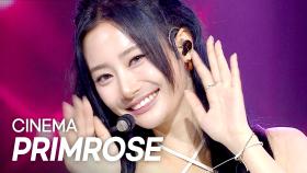 프림로즈(PRIMROSE) – CINEMA l 250618