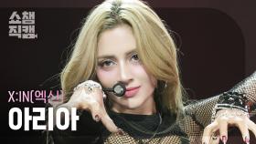 [쇼챔직캠 4K] X:IN ARIA(엑신 아리아) - SABAHA | Show Champion | EP.559