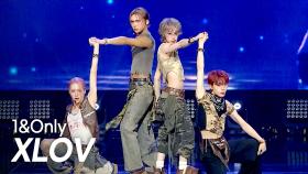 XLOV(엑스러브) – 1&Only l 250618