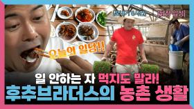 《스페셜》 일 안하는 자 먹지도 말라!🐜 후추 브라더스의 농촌 생활🌾, MBC 250613 방송