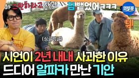 [엠뚜루마뚜루] 이시언이 2년 동안 사과했다는 '알파카 사건'ㅋㅋㅋ 드디어 소원성취한 기안84와 뜻밖의 인기쟁이 빠니ㅣ#기안84 #이시언 #빠니보틀 MBC250615방송