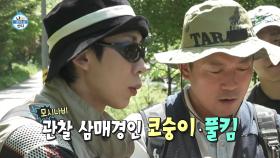 모시나비 발견한 코드쿤스트X김대호🦋 사진 찍기에 여념 없는 옥자연, MBC 250620 방송