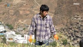 본격적으로 농사일을 돕는 기안84X빠니보틀🌾 일하며 현지인과 즐겁게 수다 떠는 기안84, MBC 250622 방송