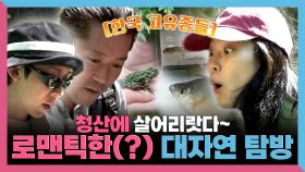《스페셜》 살어리랏다, 청산에 살어리랏다🏔️ 로맨틱한(?) 대자연 탐방🐸, MBC 250620 방송