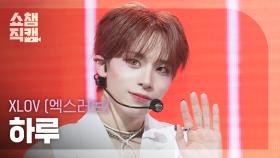 [쇼챔직캠 4K] XLOV HARU(엑스러브 하루) - BIZNESS | Show Champion | EP.560