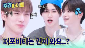 퍼포비티의 자존심이 걸렸다! 하지만 현실은 우당탕탕?!