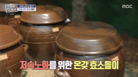 건강은 발효에서 시작된다! 장독대가 가득한 저속 노화 하우스🫙, MBC 250703 방송