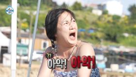 [선공개] 매생이(?) 등장에 기겁하는 나래😫 흑해로 돌진하는 팜유🌊, MBC 250704 방송