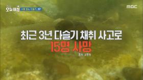안전 주의, 채집 활동을 할 때는 주의가 필요하다, MBC 250707 방송