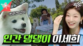 [픽잇] 이세희 강아지야 사람이야? 강아지잖아! 맨발로 한강 산책하고 파라솔 챙겨오는 엽기발랄 이세희 MBC250705방송 #이세희 #반려견 #한강