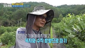 대기업 퇴직 서두른 귀농의 매력, MBC 250708 방송