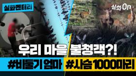 [#실화멘터리] 우리 마을 불청객?! #비둘기엄마 #사슴1000마리 #실화탐사대 #실화On MBC230622방송