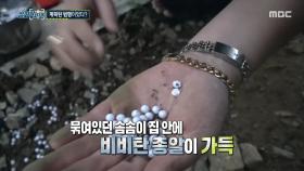 강아지에게 물려 총을 발사? 피해 견주를 찾아온 가해자의 아버지, MBC 250710 방송