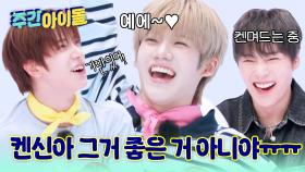 투명 솔직의 아이콘 켄신! 솔직히 말해봐요~ (그거 좋은 거 아니야...!)