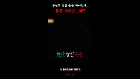 무심코 던진 돌은 하나인데.. 붙은 귀신은...왜? #심야괴담회