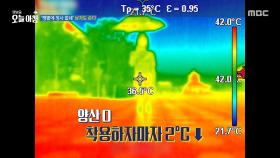 '땡볕에 장사 없네' 남자도 양산 쓴다, MBC 250715 방송
