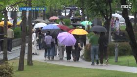 117년 만의 폭염 속 생존템?, MBC 250715 방송