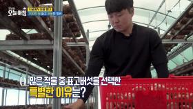 귀농한 청년이 많은 작물 중 표고버섯을 선택한 특별한 이유!, MBC 250715 방송