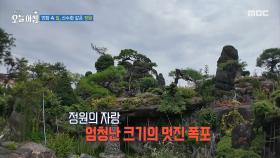 만화 속 집, 산수화 같은 정원!, MBC 250717 방송