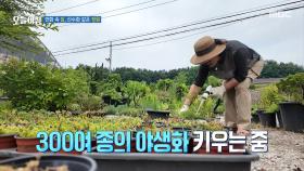부부가 서로 꾸미고 사는 둘만의 공간, MBC 250717 방송
