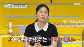 노화를 촉진하고 병을 일으키는 주범인 좀비 세포의 정체는?, MBC 250720 방송