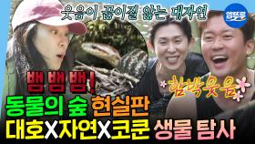 [엠뚜루마뚜루] 뱀 나와도 그저 싱글벙글🌿 보고 있으면 저절로 힐링되는 대자연 원정대의 자연 탐방🦋 | #김대호 #옥자연 #코드쿤스트 MBC250620방송