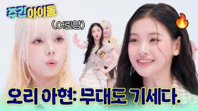 놀릴 맛 나는 예능 어린 양 미아! 과연 옆집 오리와 셰퍼드를 이겨낼 수 있을까?!