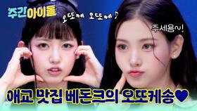 애교의 권위자 지배자 종결자 베돈크의 오또케송♥