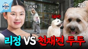 [픽잇] 세상 순둥하지만 자기 주장은 똑 부러짐ㅋㅋ 리정과 똑 닮은 천재견 두두 MBC250801방송 #나혼산 #리정 #일상