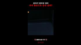 갑자기 달라진 엄마 우리 뒷산으로 등산 갈까? #심야괴담회