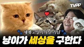 《TVPP》 8월 8일은 세계 고양이의 날😺 세상을 구하는 고양이 모음🗂️ | 전지적참견시점 | TVPP | MBC 181215 방송