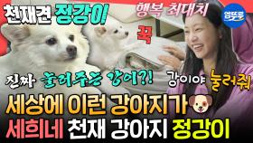 [엠뚜루마뚜루] 이불 넣기 1등 공신🐶 세희 말 척척 알아듣는 천재견 정강이의 하루ㅣ#이세희 MBC250809방송