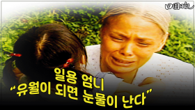 [옛드][#전원일기] 277화ㅣ일용 엄니 “유월이 되면 눈물이 난다” MBC 19860624 방송